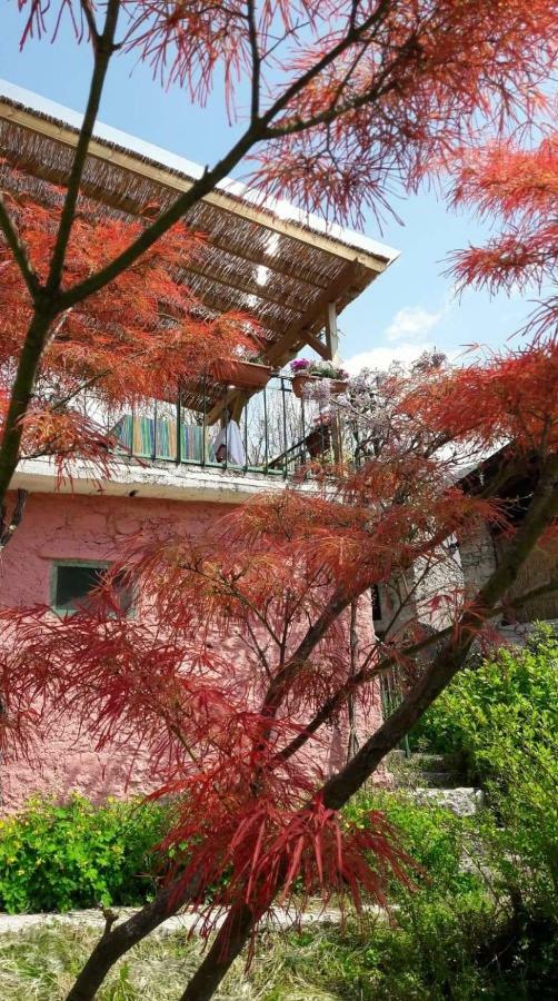 La Casa Rosa Di Segusino With Spa Jacuzzi In Garden Sequsino Eksteriør bilde